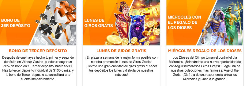 sitio web oficial de Winner